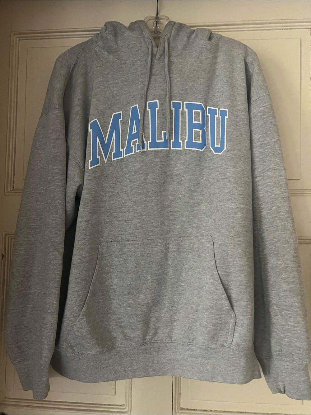 Brandy Melville Malibu Hoodie One Size Gray Oversized Graphic Sweatshirt